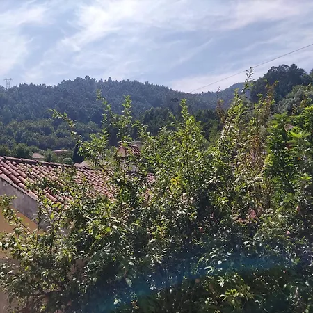 Alojamento Casa Da Eira Gerês Exterior foto